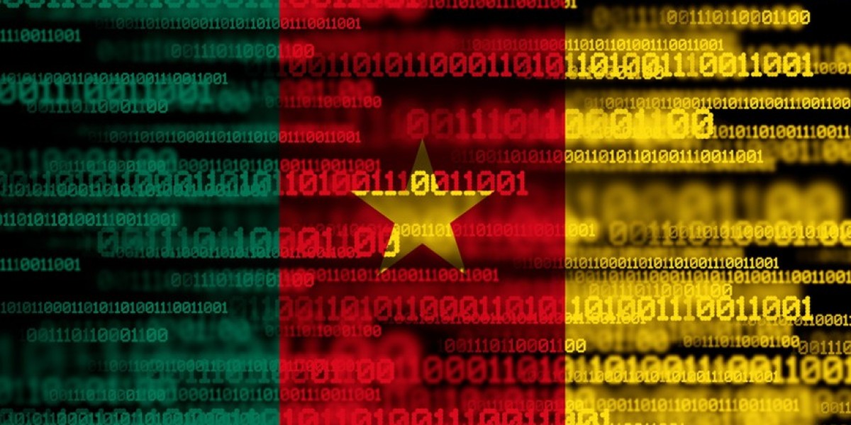 Cameroon Digital Censorship: Crisis & VPN Surge