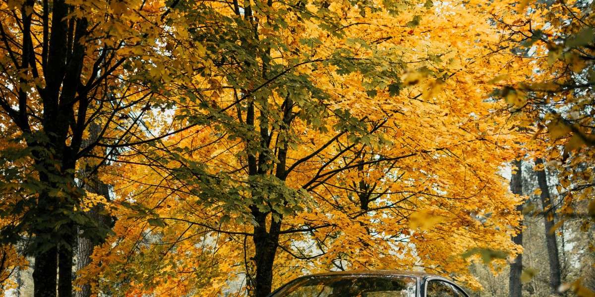 eznpc How to Get Ready for Fallout 76 Jan 20 Maintenance and 8 New Atomic Shop Bundles