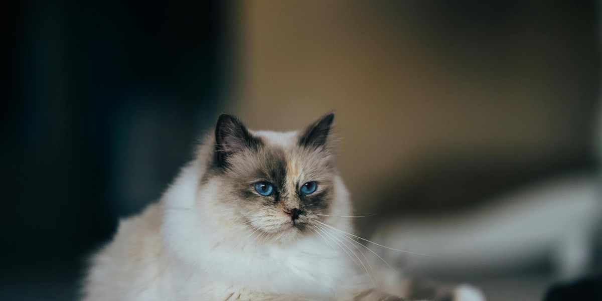 eznpc What Arc Raiders Veterans Do Differently in 2026