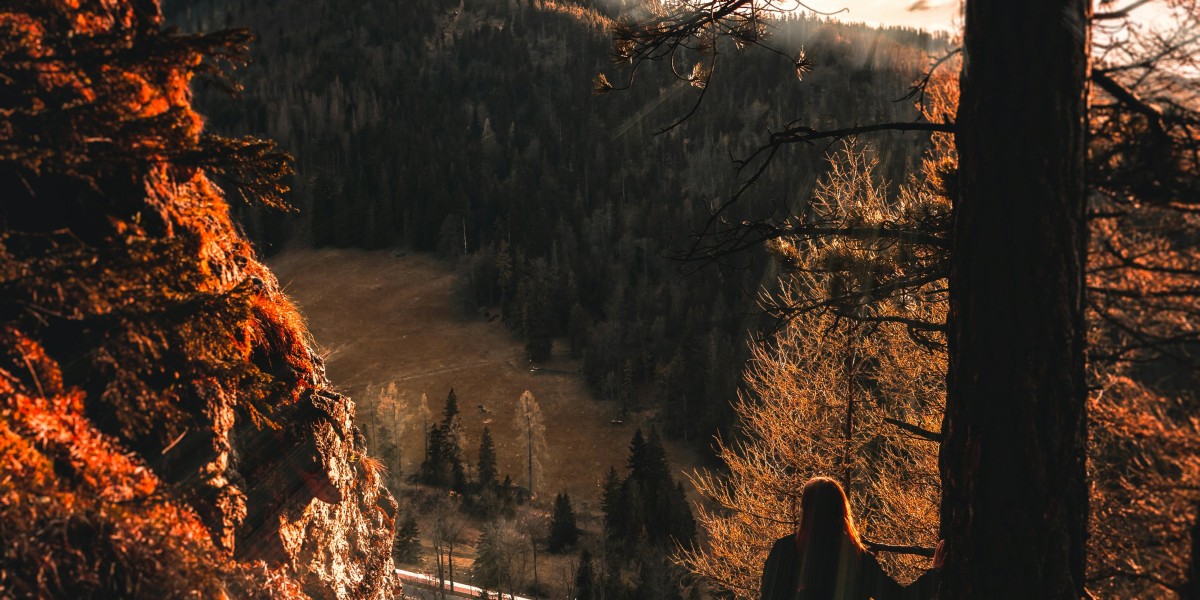 eznpc How to Get the Bird Egg and Prismatic Pets in Grow A Garden