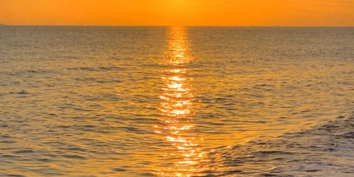 eznpc Pokémon TCG Pocket Beginner Tips for Packs and Battles