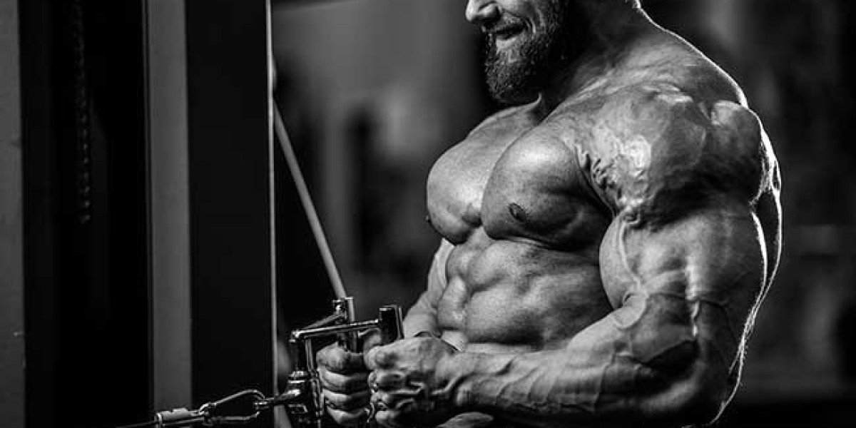 Enkele van de belangrijkste concepten over Anabolen Bestellen